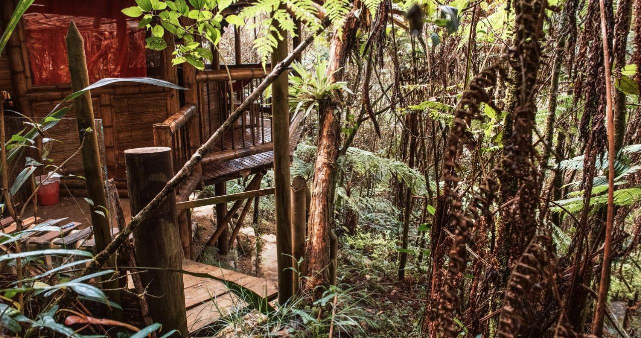 Hotel Guatape Adrianas Bambu Exterior photo