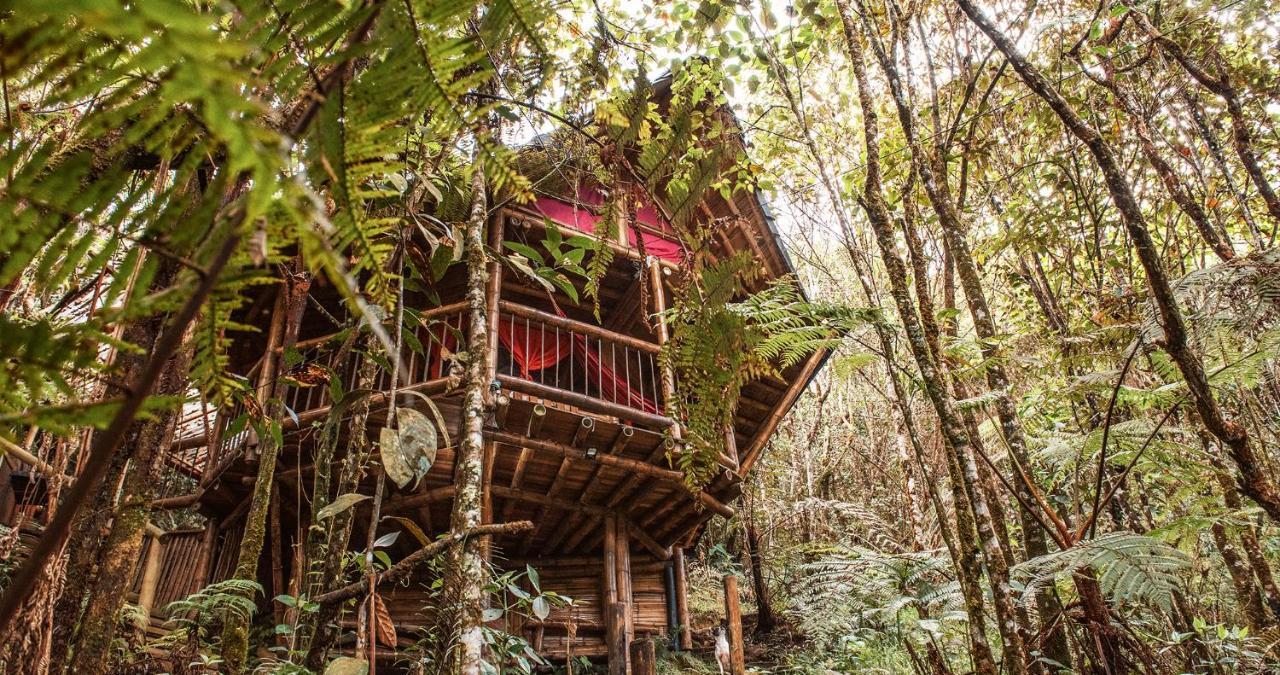 Hotel Guatape Adrianas Bambu Exterior photo