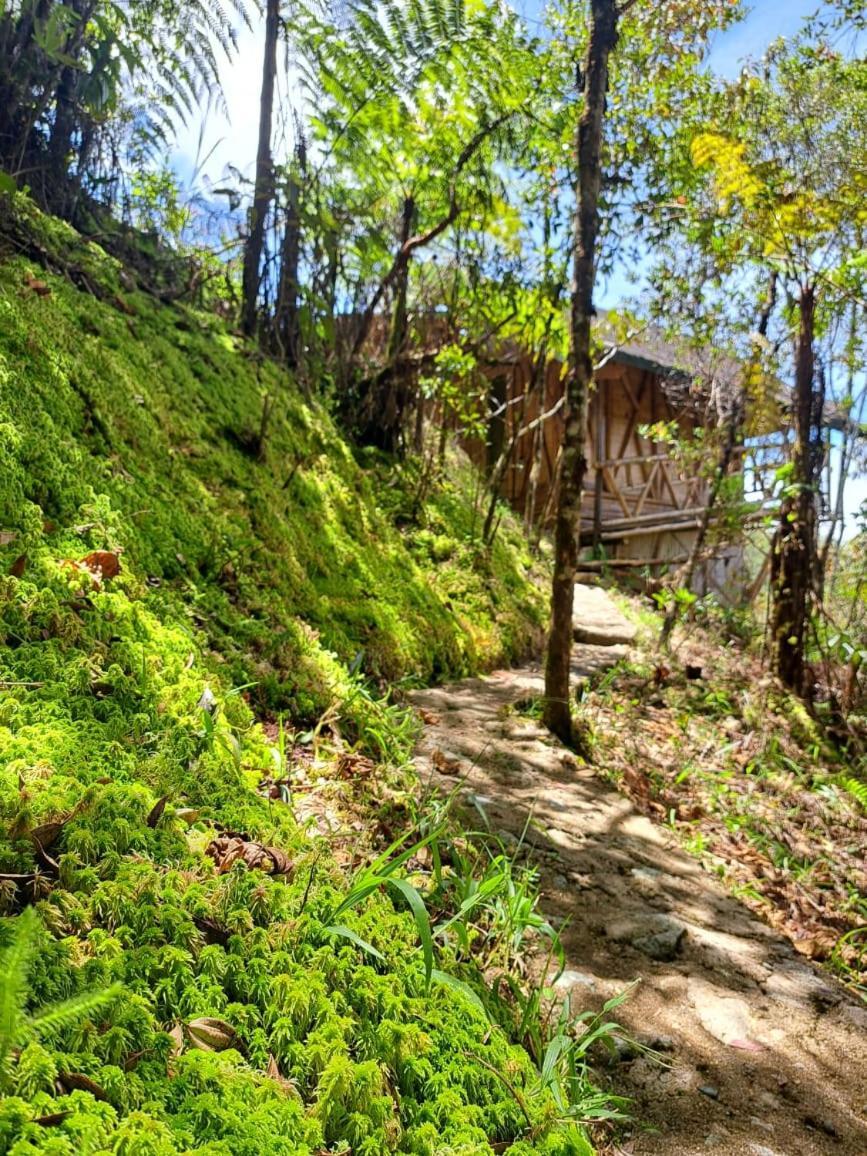 Hotel Guatape Adrianas Bambu Exterior photo