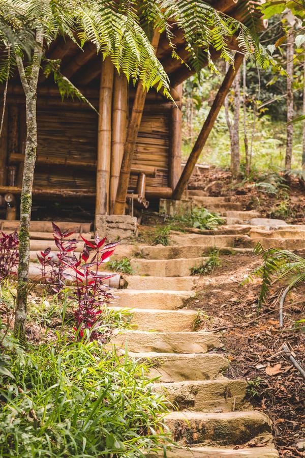 Hotel Guatape Adrianas Bambu Exterior photo